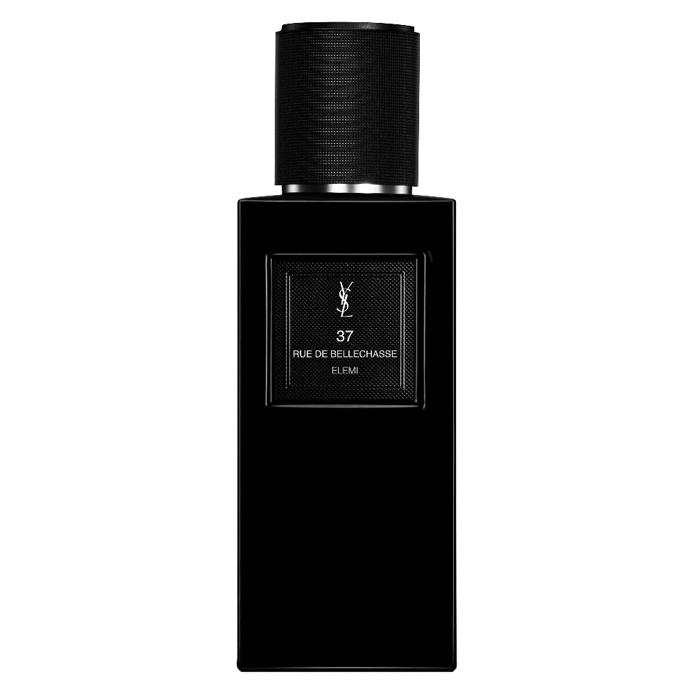 Yves Saint Laurent 37 Rue de Bellechasse
