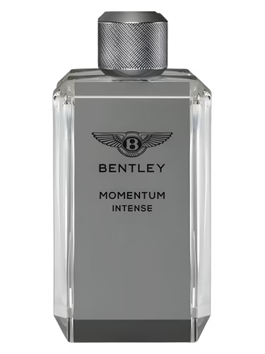 Bentley Momentum Intense